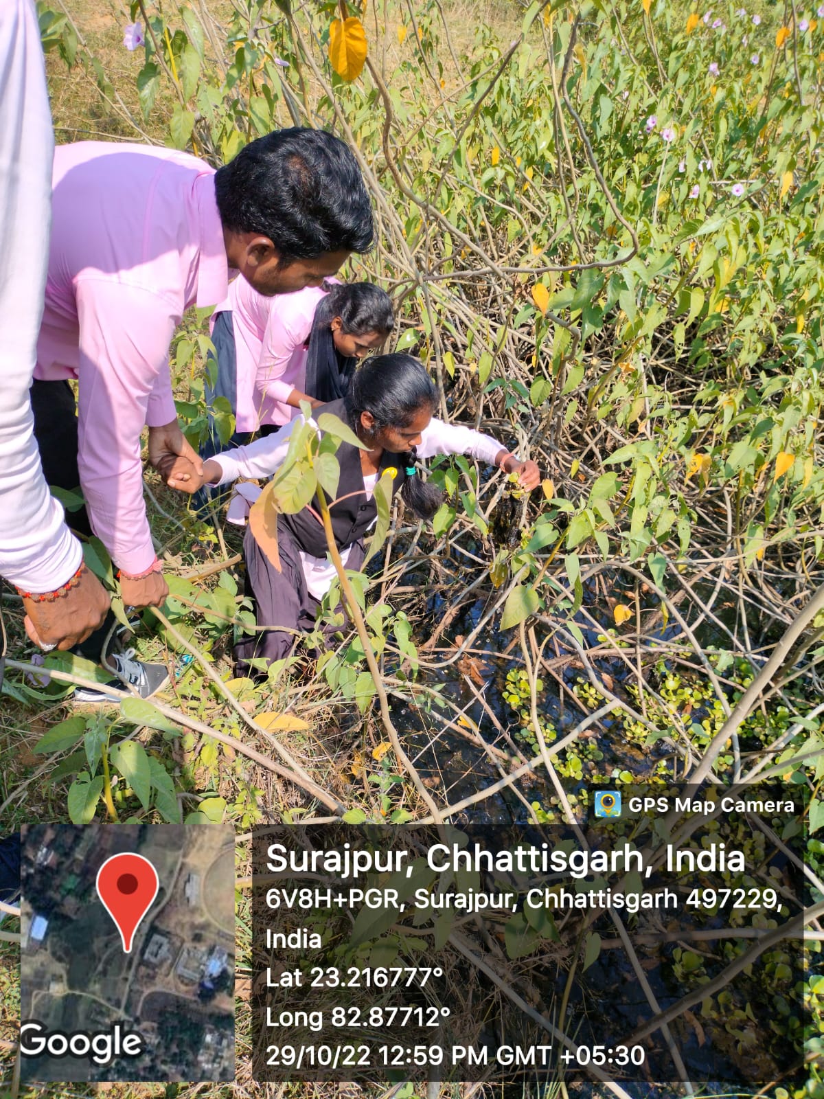 महाविद्यालय के वनस्पति शास्त्र विभाग के प्रथम सेमेस्टर के विद्यार्थियों ने किया वेटलैंड का निरीक्षण