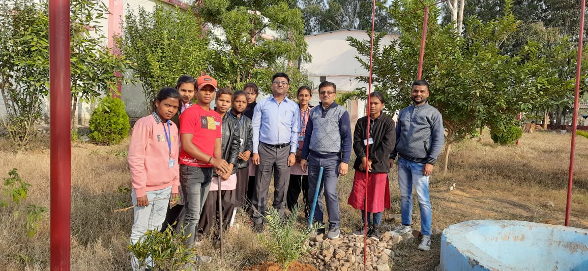 महाविद्यालय के वनस्पतिशास्त्र विभाग के द्वारा छात्र-छात्राओं ने किया पौधारोपण।