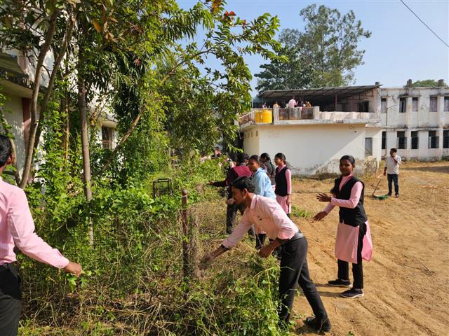 महाविद्यालय प्रांगण में स्वच्छता अभियान 